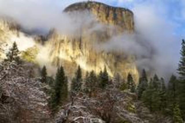 The Natural Resources Defense Council (NRDC)