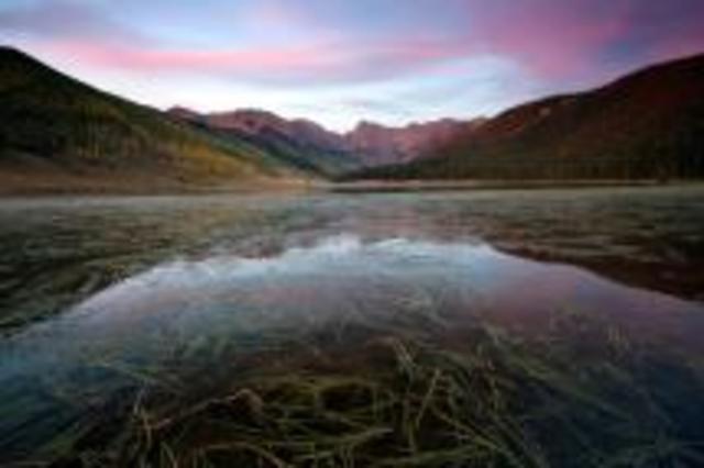 The National Audubon Society