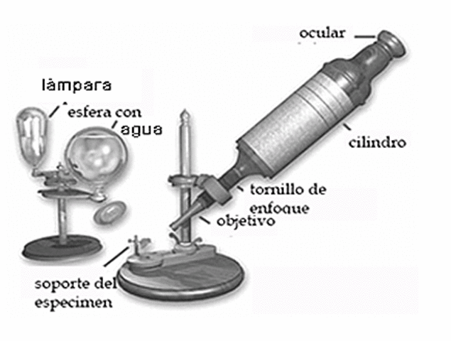 Hooke-microscopio compuesto