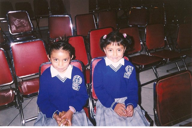 Hermanas por decisión