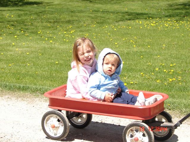 I liked to be pulled in the wagon