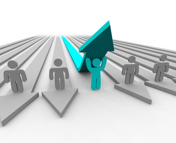 Producción ,ventas y mercadeo.