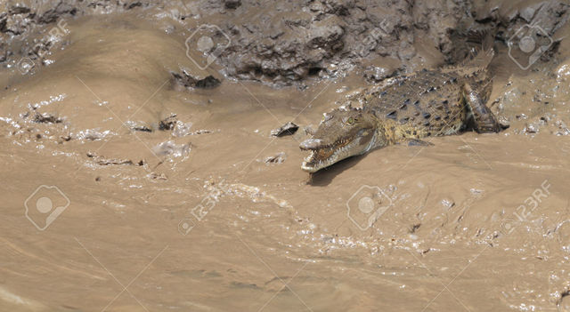 Mud-slinging Campain Begins