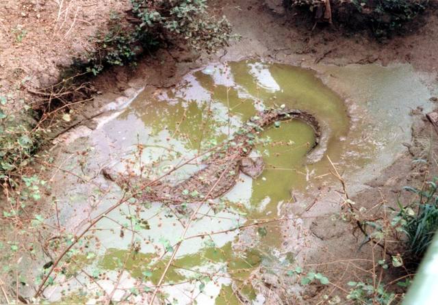 Mud-Slinging Campain Increases Intensity