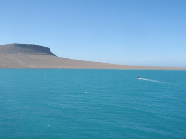 searchers found three graves on beechey island