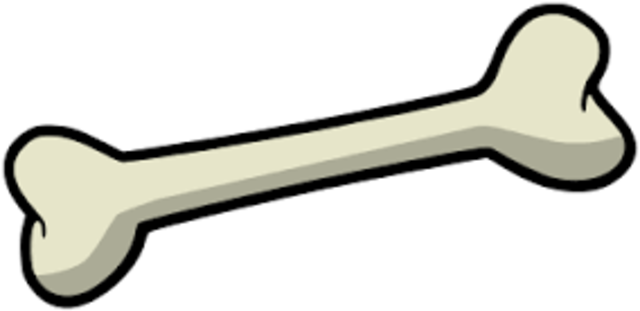 Bone samples collected from sceleton of one of Franklins men