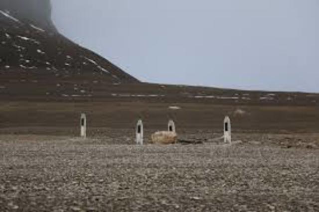 The Day John Torrington Died