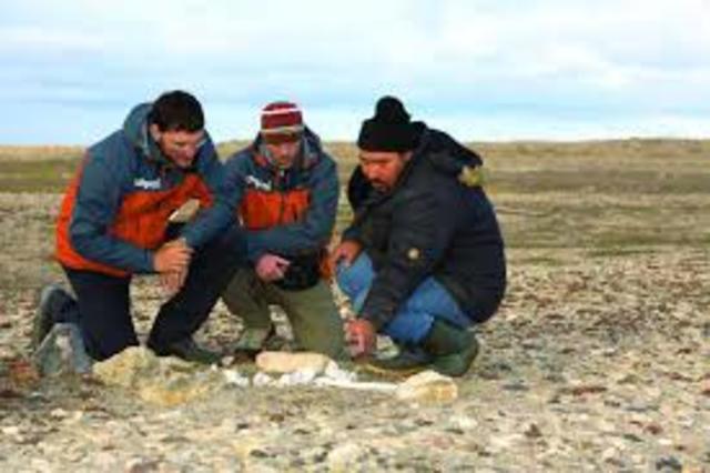 1981 Beattie had collected some bone samples from Franklin