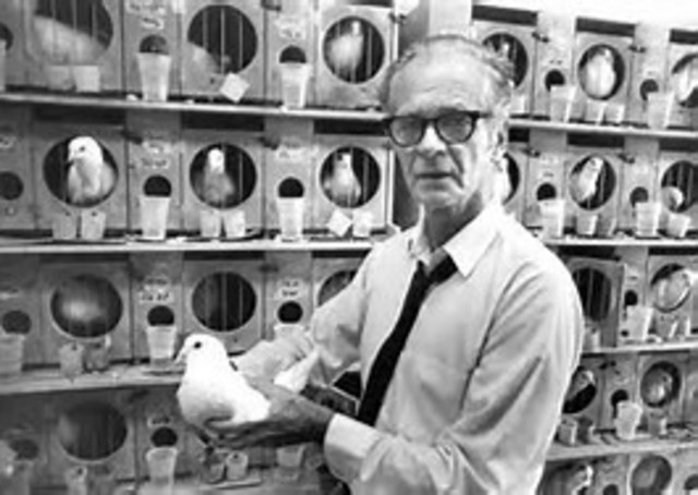 Tecnología en la enseñanza programada