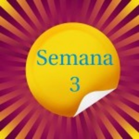 tercera semana del embrión