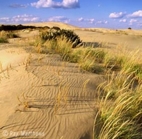 Sand Hills