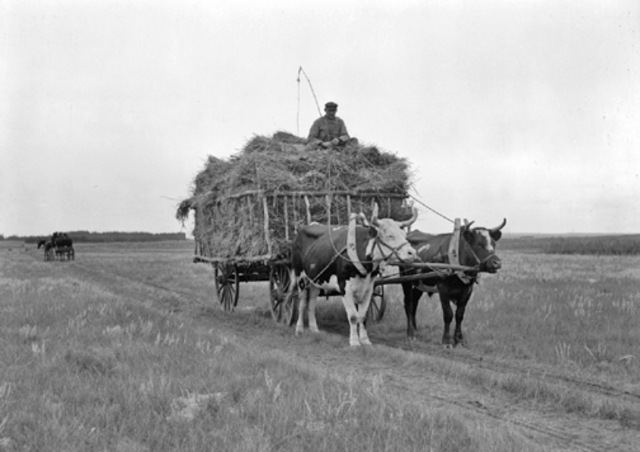 1. Provincial Notes: Saskatchewan and Alberta