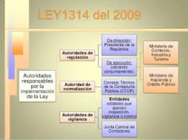 Ley 1314 2009