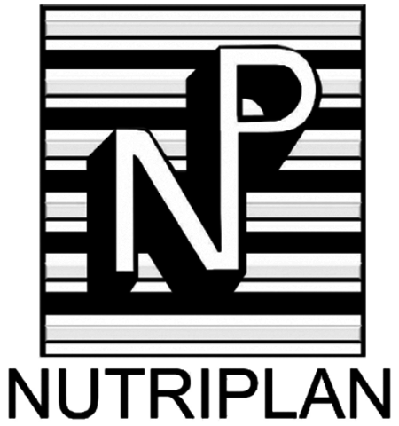 Primer trabajo formal