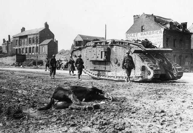 Dead Horse In The Road