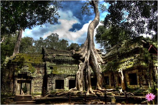 Ankor Wat is abandoned