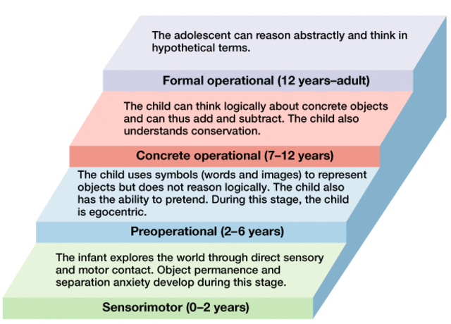 Middle Childhood: Concrete Operational Stage