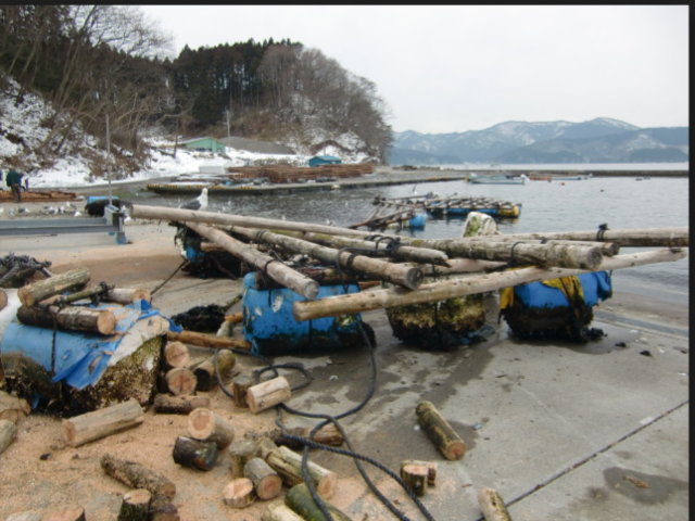 The Reversion of the Beast Folk