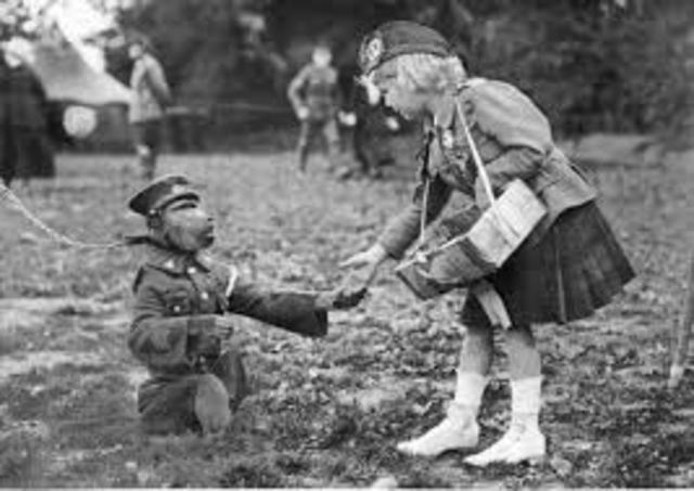 Baboons role in WW1