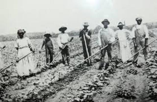 Sharecropping