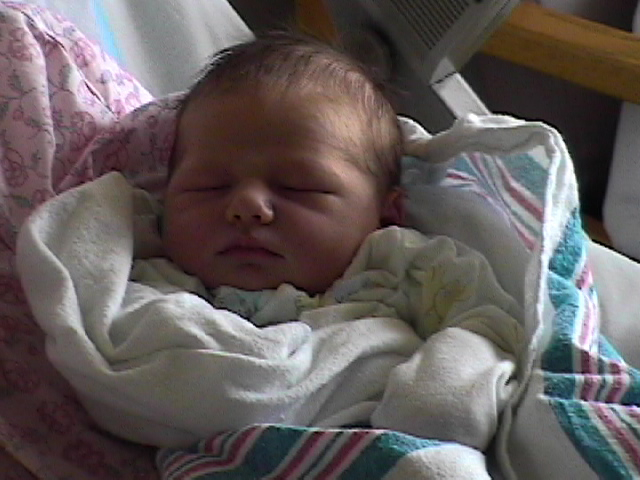 My Life timeline | Timetoast timelines