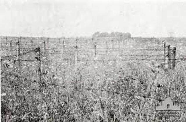 Wiring Details (personal)