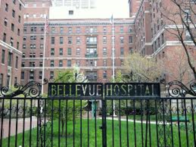 Bellevue Hospital