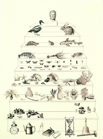 Aristóteles 384 a.C