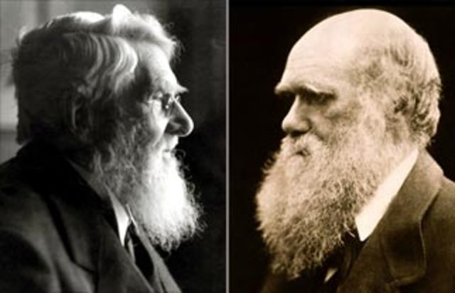 DARWIN/WALLACE