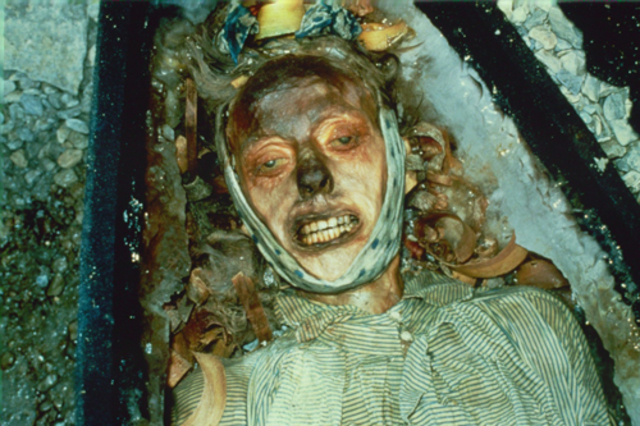 beattie and his research team set up  a camp on beechy island  were john torrington lay burried