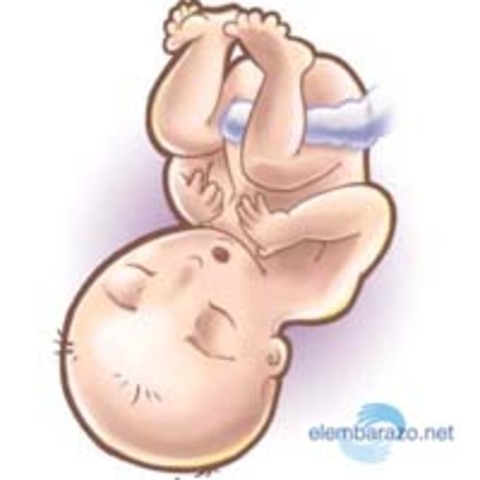 CONDICIONES EXELENTES PARA NACER