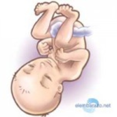 Empieza la cuenta atrás