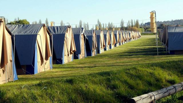 Beattie and research team set up camp