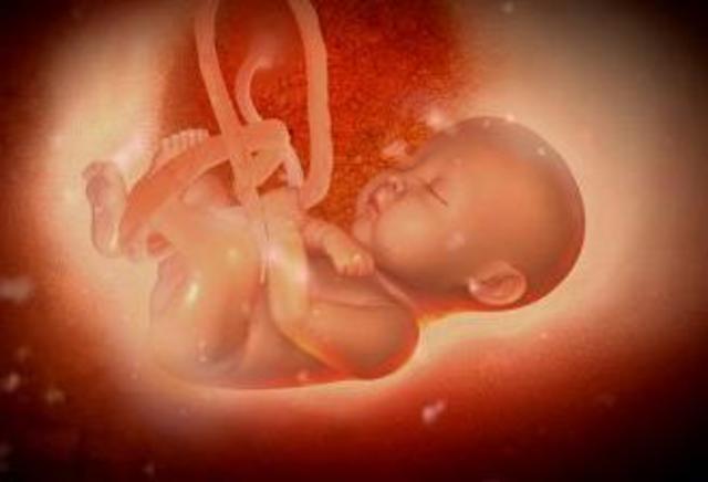 28ª semana (7º mes) de gestación