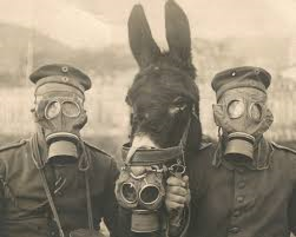 Gasmasks