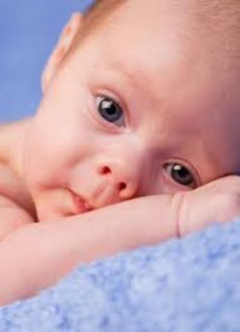 6 semanas de nacido