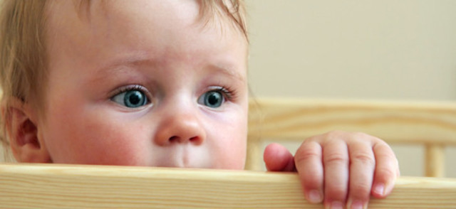 Lactante menor (1 mes- 18 meses)