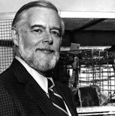 teoria organizacional