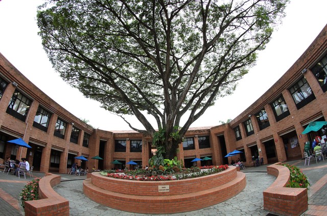 SE IMPULSO LA CONSTRUCCION ESCOLAR