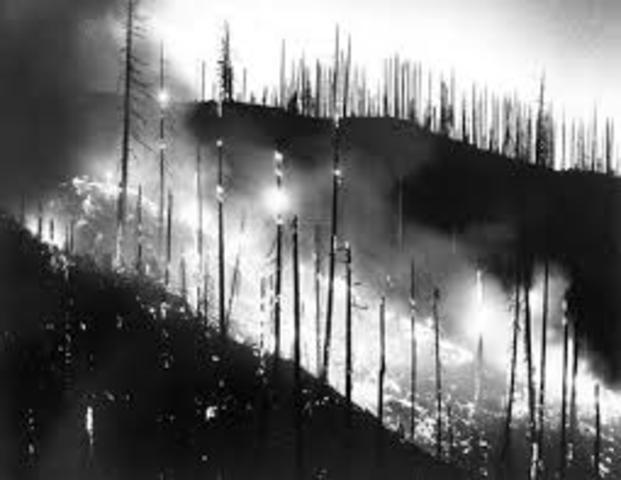 Miramichi fire kills 160+ in New Brunswick