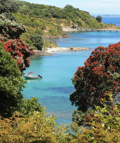 Tiritiri Matangi Island and Sky Tower