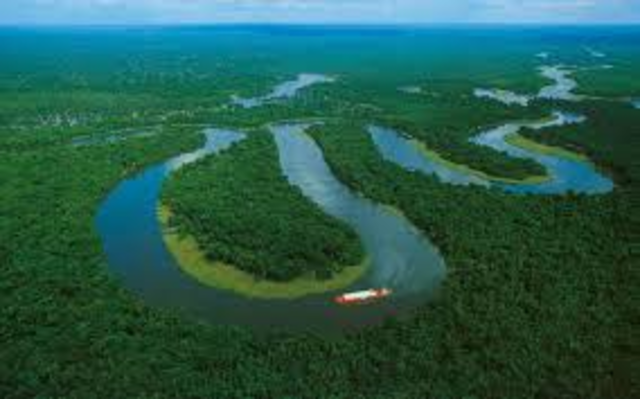 Go on a boat trip on the Amazon River