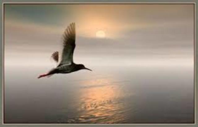 dimension espiritual