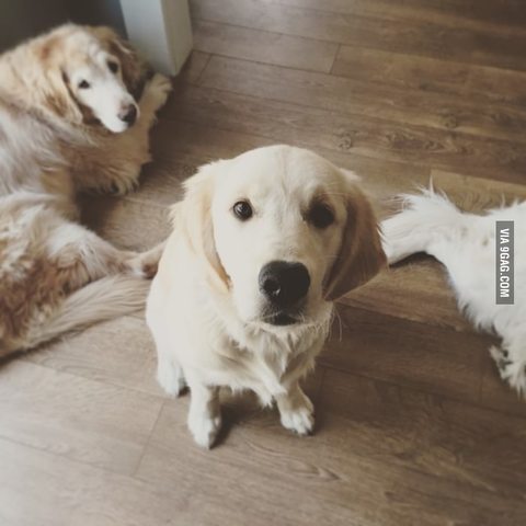 entro al Tec de Monterry Campus Toluca