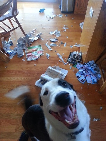 ganador del reto vertical Bonafont