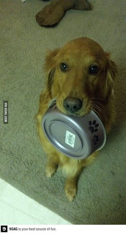 Culmina la organización de MKT4ALL