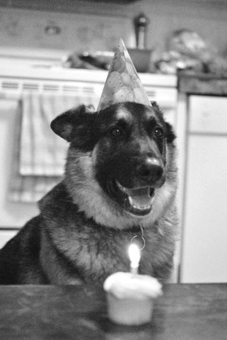 Contratado como Community Manager Elite Multimedios SA de CV