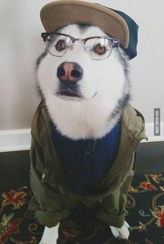 contratado como Gerente de Mercadotecnia de RED DEVILS AFC