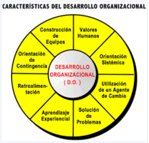 TEORÍA DEL DESARROLLO ORGANIZACIONAL