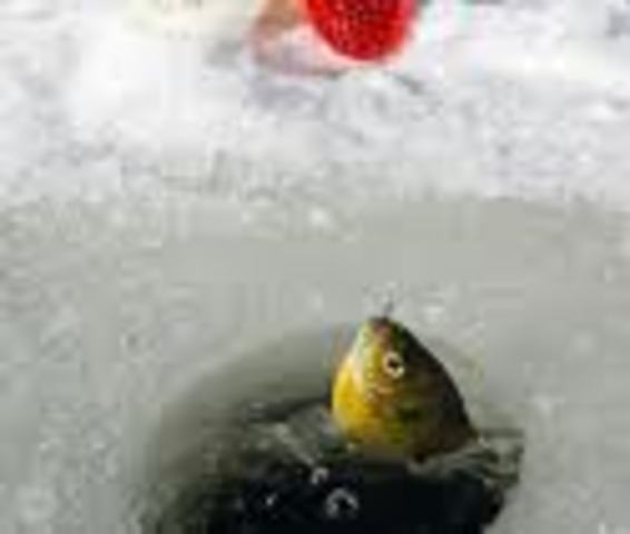 Ice Fishing with Students